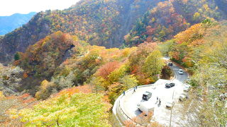 紅葉が綺麗でした