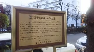 桜が咲いてない時期でもとても気持ちよく散歩のできる坂です