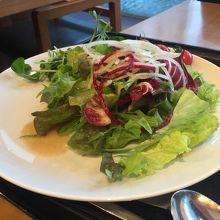 サラダ