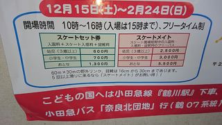 子供とスケートが楽しめる