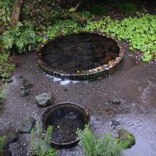 湧水箇所です。「湧き間」というそうです。