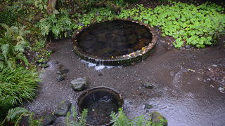 湧水を観て自然に触れ合うことができる公園です。