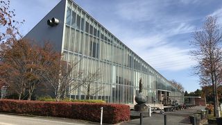 一年中チューリップが咲いてる開花技術がすごい。