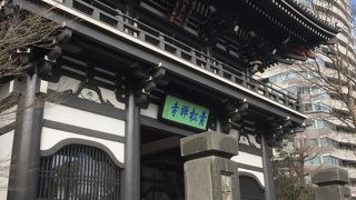 広大な境内に興味津々