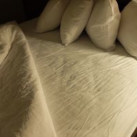 でも、やっぱり、シーツはしわしわ。(´；ω；`)ｳｩｩ