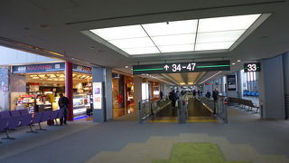 陽の光が差し込み快適でした