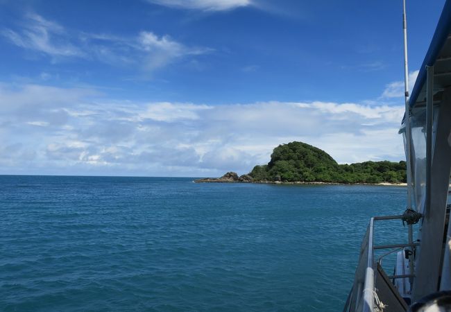 フランクランドアイランドクルーズ