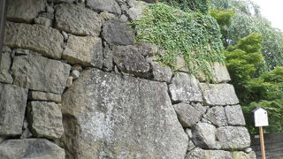 石垣の中の巨石