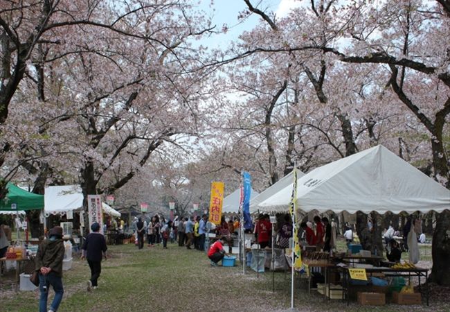 楯山公園