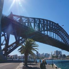 シドニー湾の顔