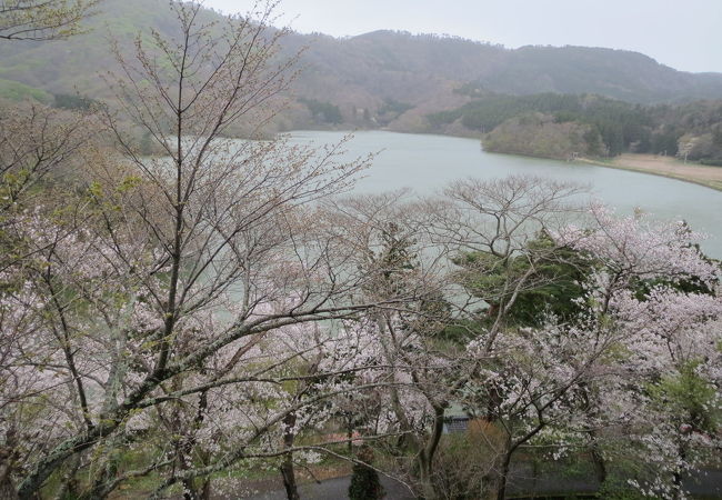 大山公園 クチコミ アクセス 営業時間 鶴岡 フォートラベル 大山公園 クチコミ アクセス 営業時間 鶴岡 フォートラベル