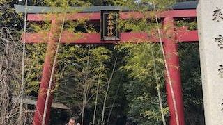 きれいな神社でした