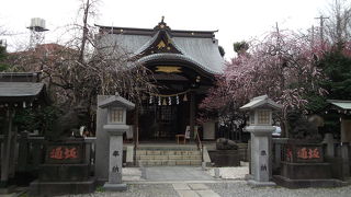 小石川後楽園の裏にある