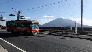 市内をグルリ回る。路線バスと併用した。