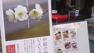 合格まんじゅうも