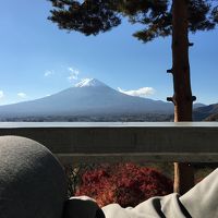 お気に入りのコタツからの景色