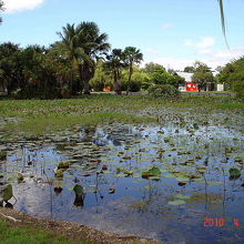 センテナリーレイクスの風景