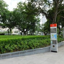 緑が深いです。