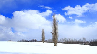 写真家の案内で、、絶景です