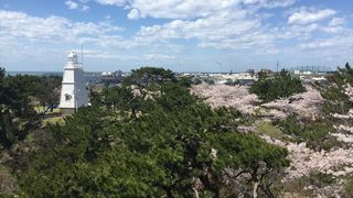 酒田港が一望できる公園