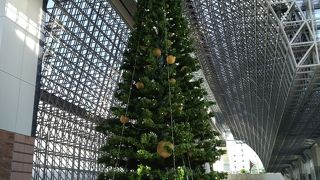 かなり大きいです！