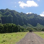 絶景！絶景！！絶景！！！のクアロア ランチ