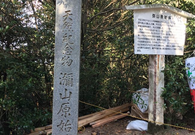 弥山原始林 クチコミ アクセス 営業時間 宮島 厳島神社 フォートラベル