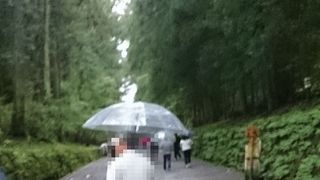 日光二荒山神社に向かう