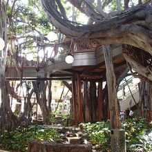 昔の面影が残っています