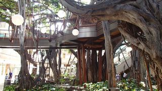 新しい観光スポット