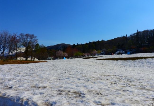 弓張平公園