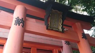 外国人観光客が観光バスで訪れています