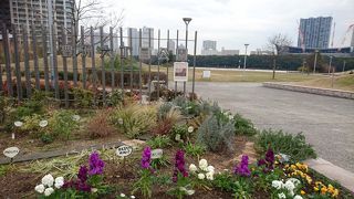 ユニークな形状の公園