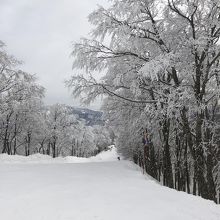 人が少ないのがいいです。