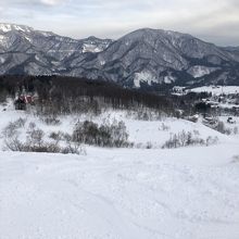 雪質がパウダースノーでいい感じ。