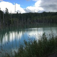 私が行った時はそこまで青くなかった・・