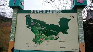 市電に乗車してバスに乗り換え