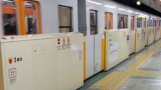 乗り放題券もあります