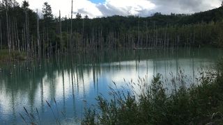 ブラタモリの撮影が！