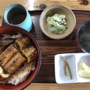 天然物、養殖物鰻が食べれる