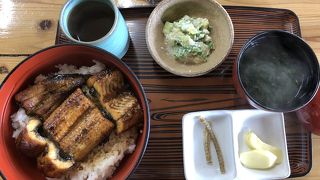 天然物、養殖物鰻が食べれる