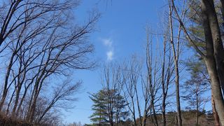 自然環境はいい雰囲気