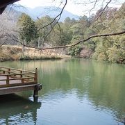 葛城古道歩きで高鴨神社に行きました