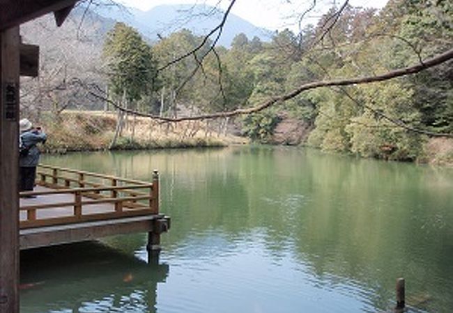 葛城古道歩きで高鴨神社に行きました