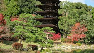 １１月中旬は五重塔周辺や香山公園にきれいな紅葉がありました。