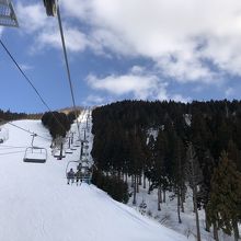 木に雪はついてません