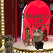 にゃんこが、かわいい