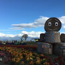 キャラクター？