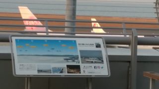 飛行機を見る