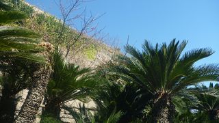 ～初春の名園を久しぶりに訪れてきました～